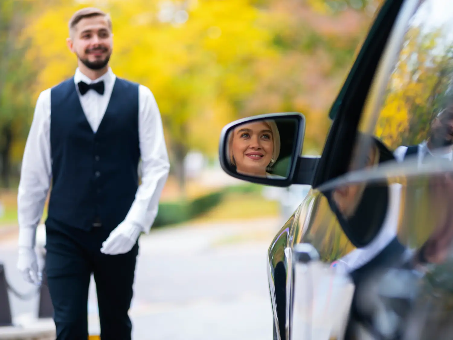 Chauffeur Guides image 2